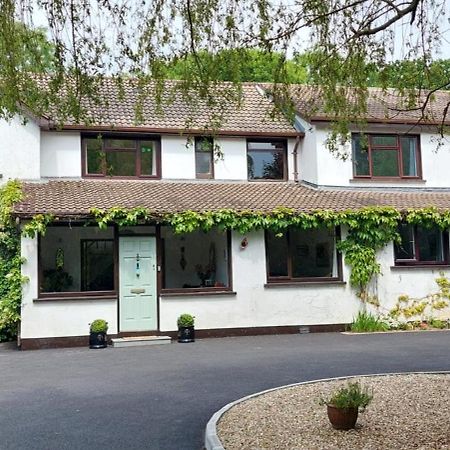 Riverfield Bed And Breakfast ゴリー エクステリア 写真
