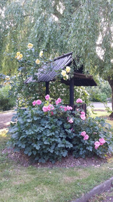 Riverfield Bed And Breakfast ゴリー エクステリア 写真